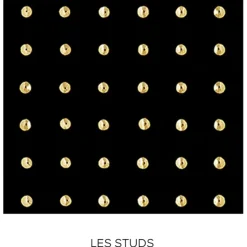 GUERLAIN Rouge G Case