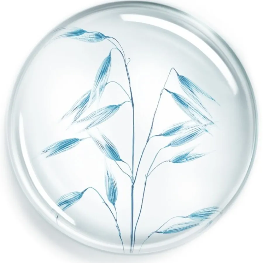 Annayake 24H Coffret Soin Corps Hydratation Continue von