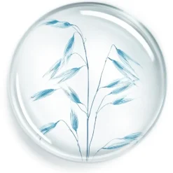 Annayake 24H Exfoliant Douceur Pour le Corps von Online