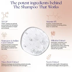 Augustinus Bader Haare The Shampoo von