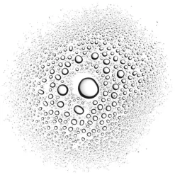 Payot Herbier Beneficial Interior Mist with Lavender & Maritime Pine von Outlet