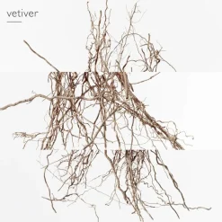 Hermès Hermès Collection Colognes Eau de Pamplemousse Rose Eau de Cologne Spray Outlet