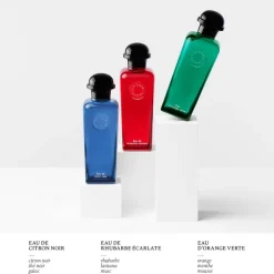 Hermès Hermès Collection Colognes Concentré d'Orange Verte Eau de Toilette Spray Best