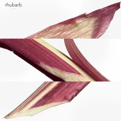 Hermès Hermès Collection Colognes Eau de Rhubarbe Écarlate Eau de Cologne Spray