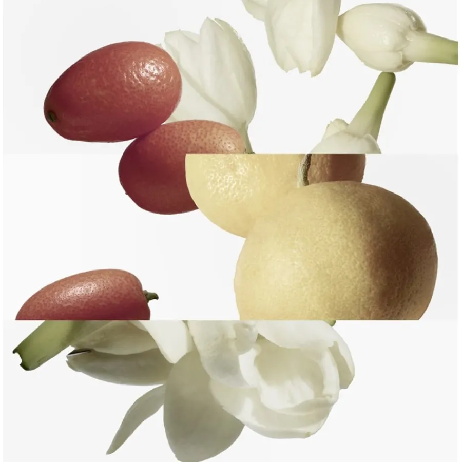 Hermès Hermès Collection Parfums-Jardins Le Jardin de Monsieur Li Eau de Toilette Spray