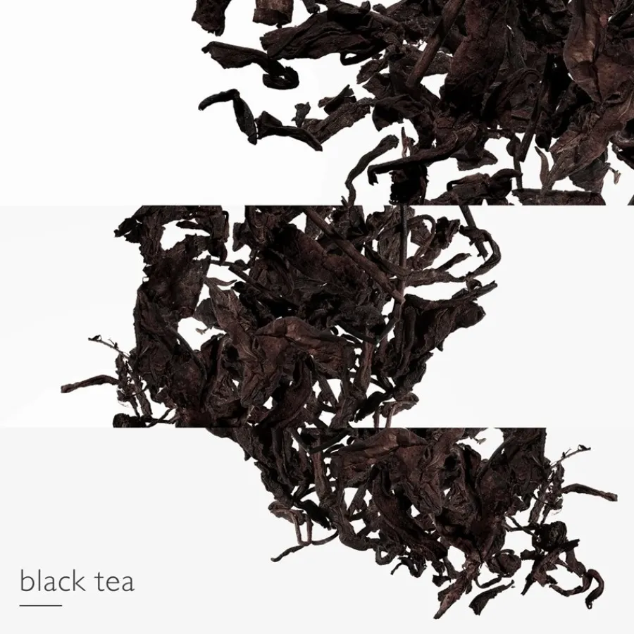 Hermès Hermès Eau des Merveilles L'Ombre des Merveilles Eau de Parfum Spray Best