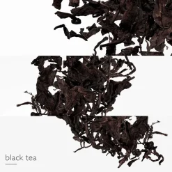 Hermès Hermès Eau des Merveilles L'Ombre des Merveilles Eau de Parfum Spray Best