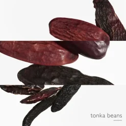 Hermès Hermès Eau des Merveilles L'Ombre des Merveilles Eau de Parfum Spray Best