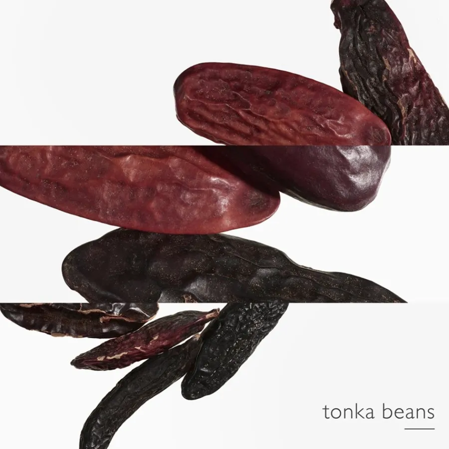 Hermès Hermès Eau des Merveilles L'Ombre des Merveilles Eau de Parfum Spray Best