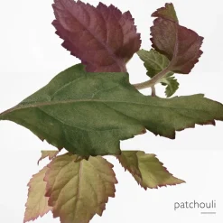 Hermès Hermès Eau des Merveilles Bleue Eau de Toilette Spray