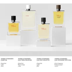 Hermès Hermès Terre d'Hermès Eau Intense Vetiver Eau de Parfum Spray