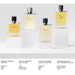 Hermès Hermès Terre d'Hermès Eau Givrée Eau de Parfum Spray