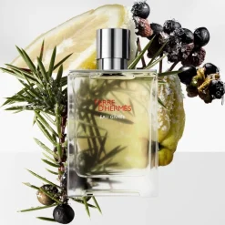 Hermès Hermès Terre d'Hermès Eau Givrée Eau de Parfum Spray