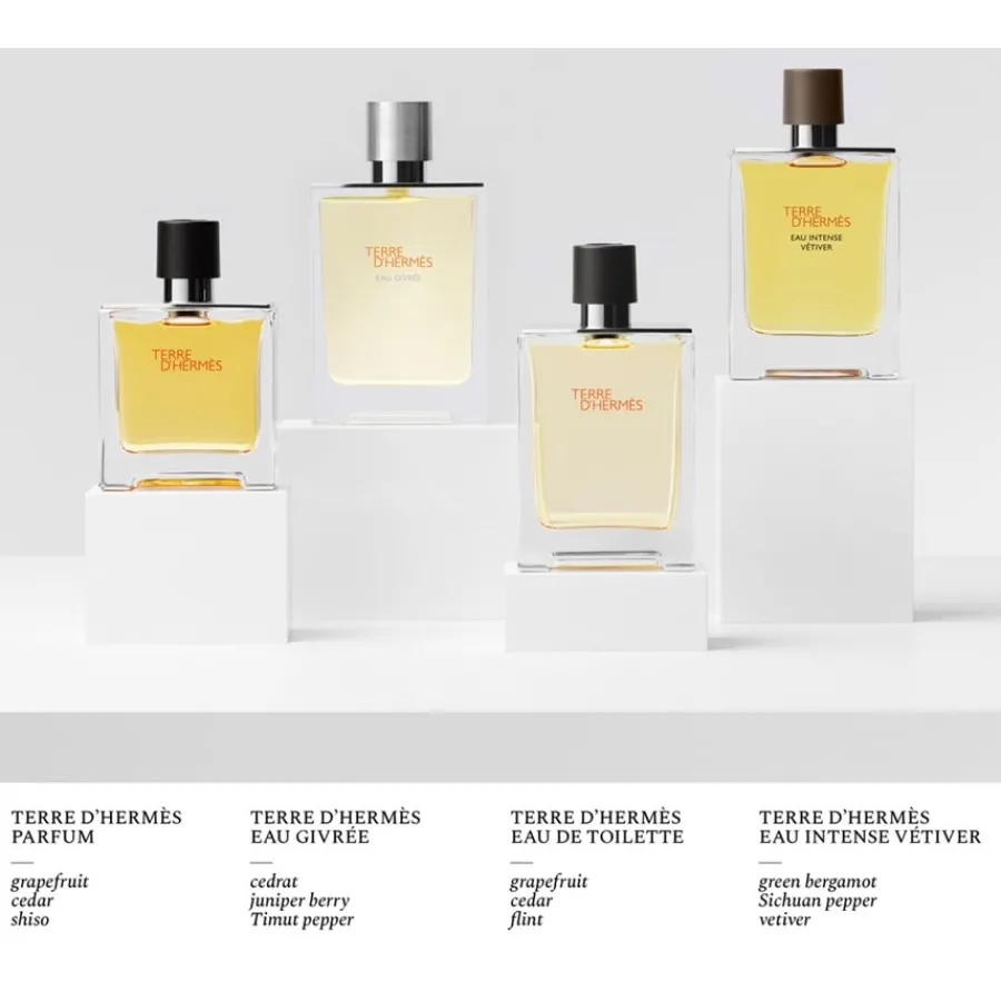 Hermès Hermès Terre d'Hermès Eau Givrée Eau de Parfum Spray