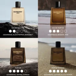 Burberry Hero Parfum Intense von Hot