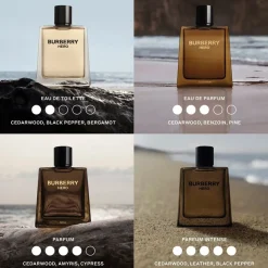 Burberry Hero Parfum Intense von Hot