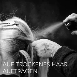 Sebastian HOLD Ultra-Firm Finishing Hairspray Shaper Fierce von Discount