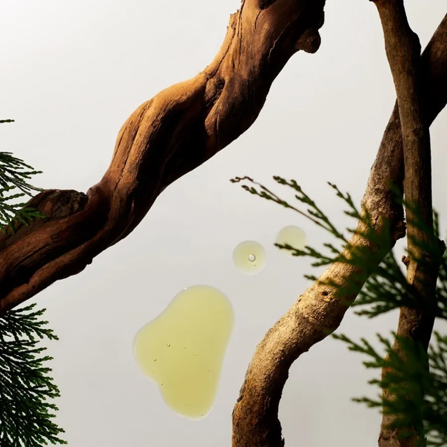 RITUALS Homme Collection 24h Anti-Perspirant Spray von