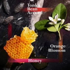 JOOP! Homme Eau de Toilette Spray von