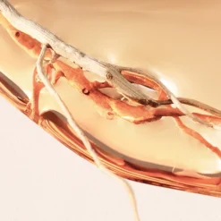 Hugo Boss BOSS Alive Intense Eau de Parfum Spray