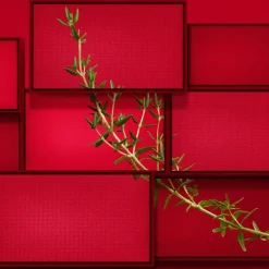 Hugo Boss Hugo Intense Eau de Parfum Spray von New