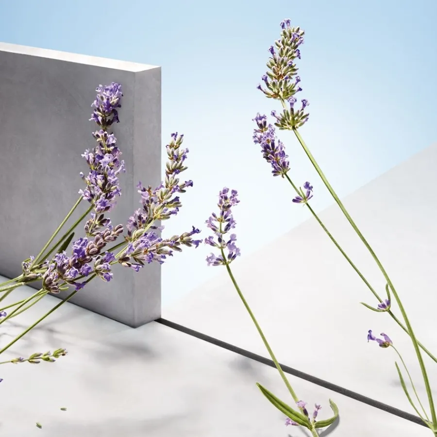 Hugo Boss Hugo Man Eau de Toilette Spray von Sale