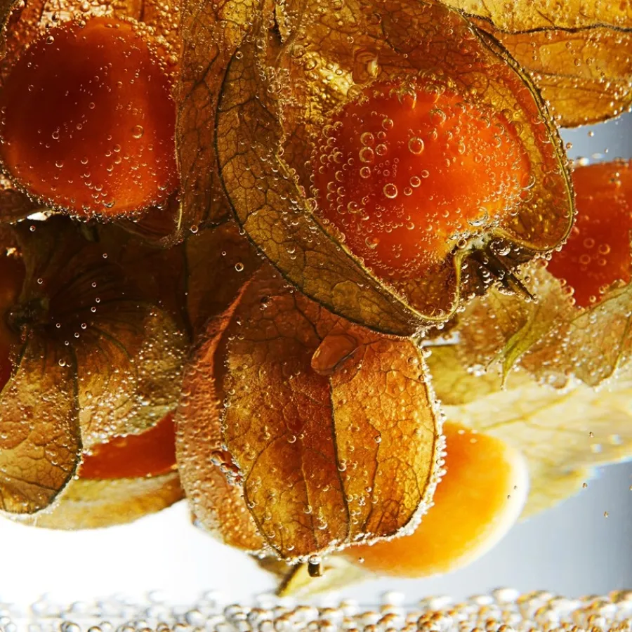 Erno Laszlo Hydra-Therapy Soothing Relief Hydration Serum von