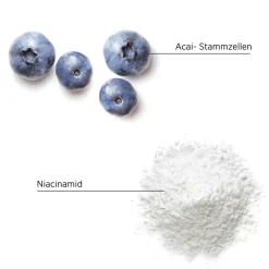 System Professional Lipid Code Inessence Shampoo von New