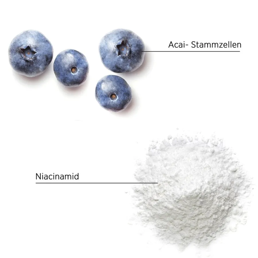 System Professional Lipid Code Inessence Shampoo von New