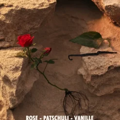 Jil Sander Sunset Intense Eau de Parfum Spray