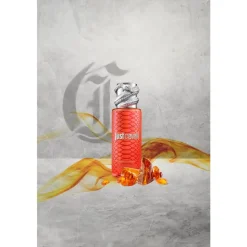 Roberto Cavalli Just Cavalli Fragrance Mist Daring Amber von Best