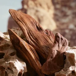 Dolceu0026Gabbana K by Dolce&Gabbana Parfum von Dolce&Gabbana