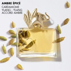 KENZO JUNGLE Eau de Parfum Spray von Best