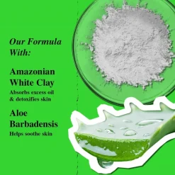 Kiehlu0027s Kiehl's Rare Earth Deep Pore Cleansing Masque Best