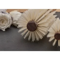 Regincu00F3s Korkgriff Rundbürste Blond Ø 9/40 mm von Regincós Discount