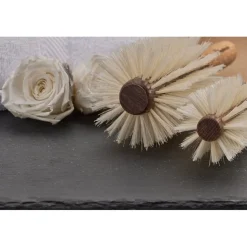 Regincu00F3s Korkgriff Rundbürste Blond Ø 26/80 mm von Regincós