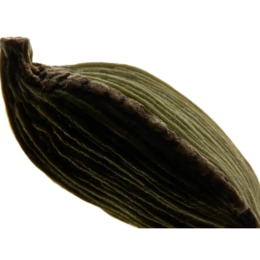 Yves Saint Laurent La Nuit De L'Homme Le Parfum von