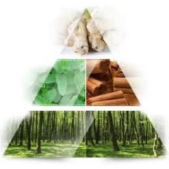 LA RIVE Men's Collection 315 Prestige Eau de Toilette Spray