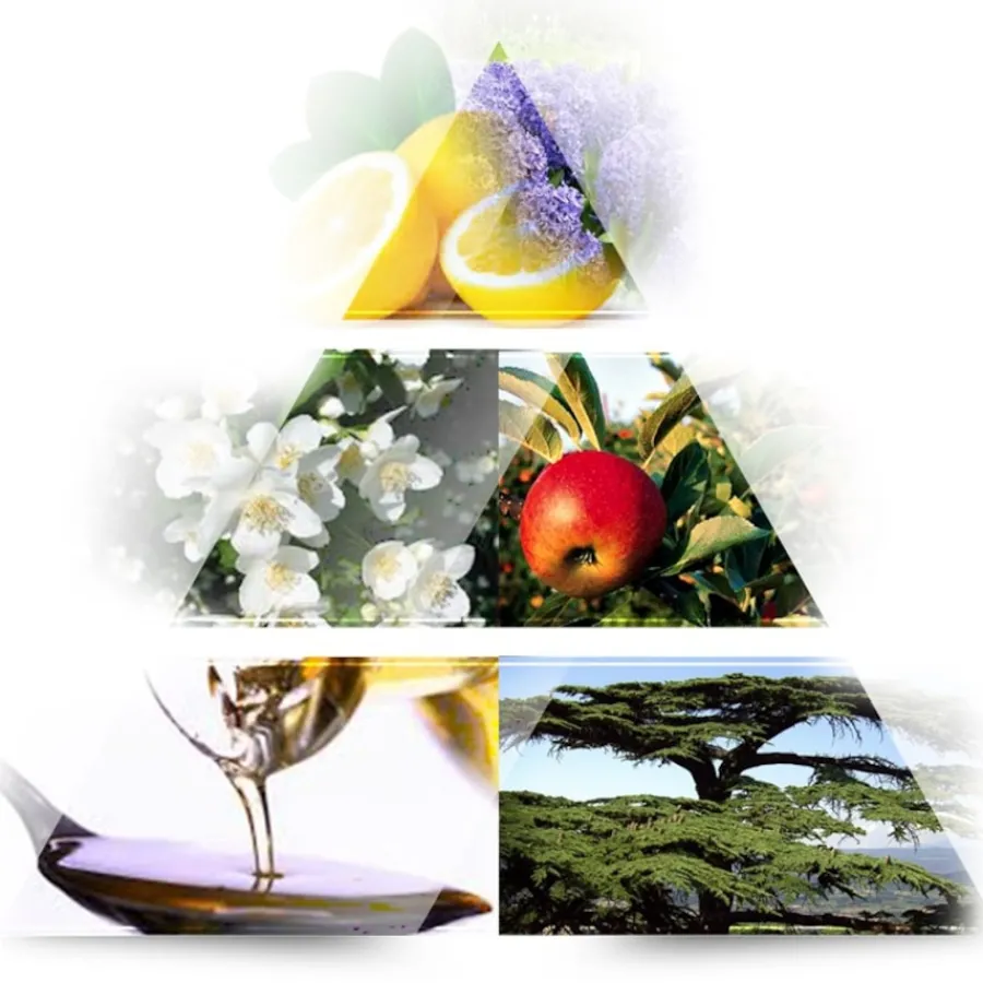 LA RIVE Women's Collection Donna Eau de Parfum Spray