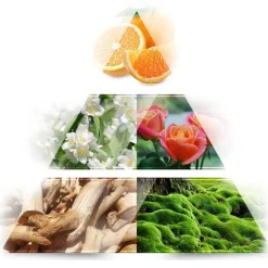 LA RIVE Women's Collection Madame Isabelle Eau de Parfum Spray