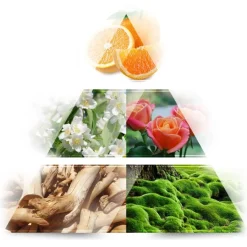 LA RIVE Women's Collection Madame Isabelle Eau de Parfum Spray