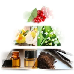 LA RIVE Women's Collection She is Mine Eau de Parfum Spray Discount