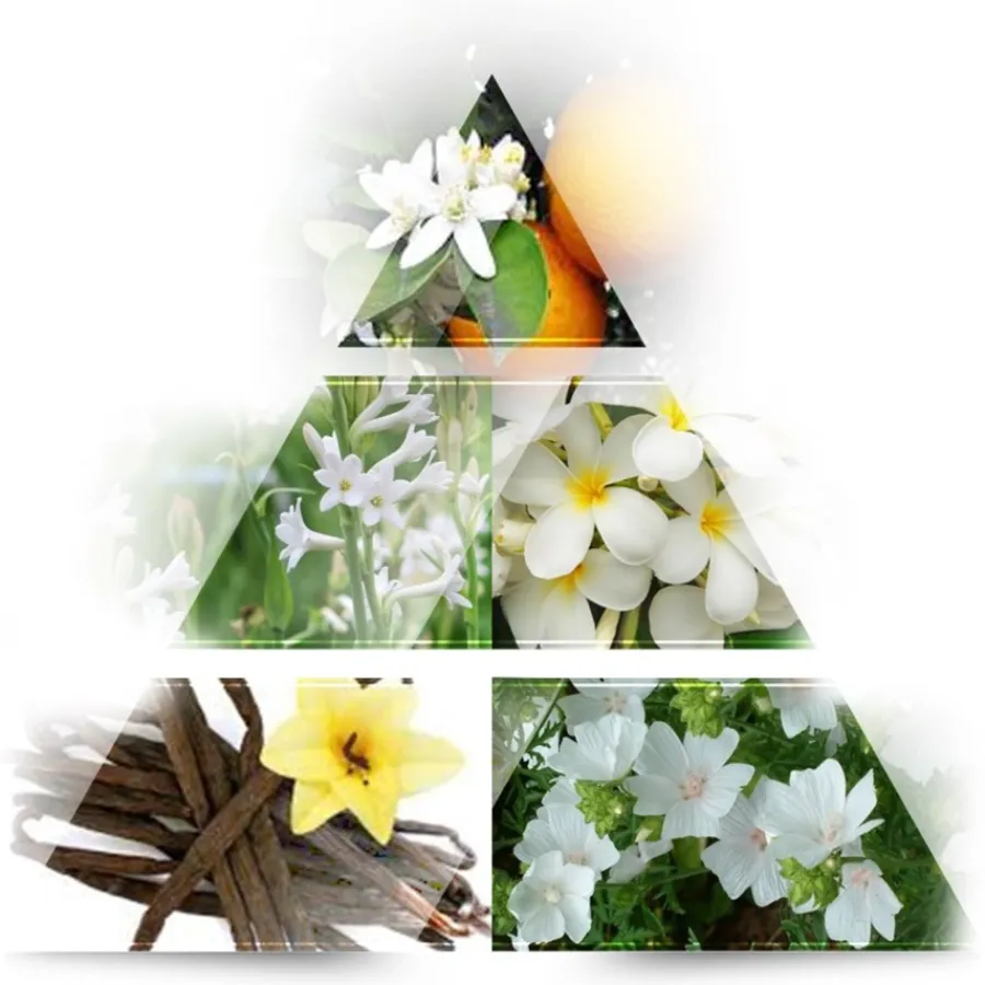 LA RIVE Women's Collection Her Choice Eau de Parfum Spray