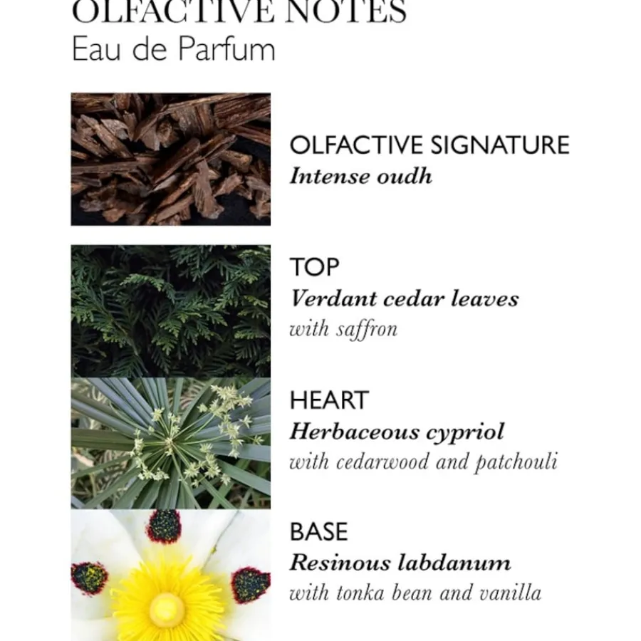 Molton Brown Labdanum Dusk Eau de Parfum Spray von