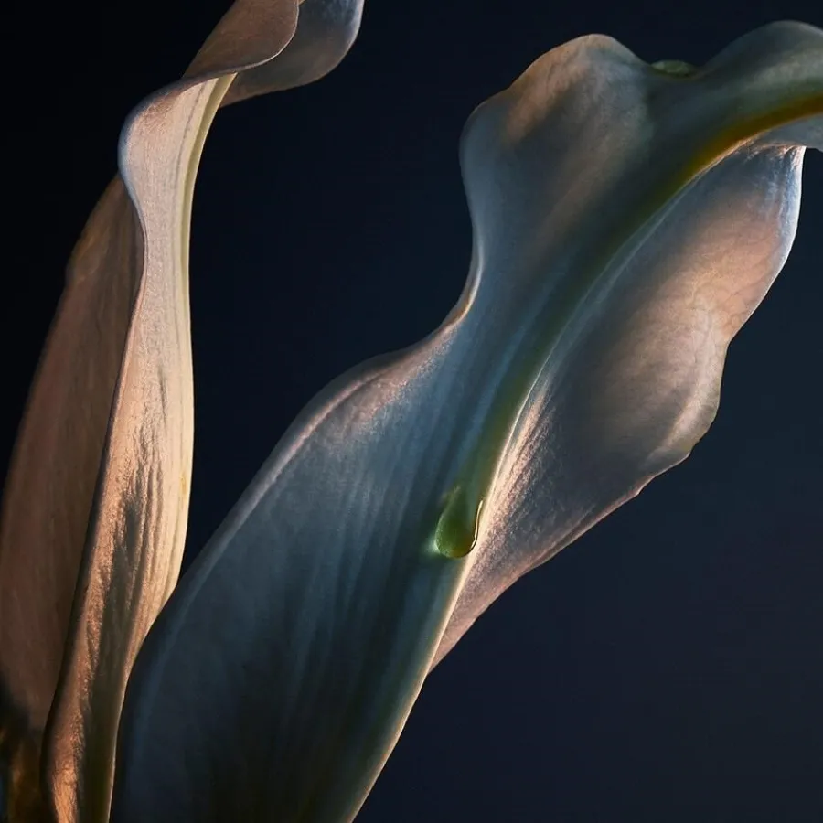 Rabanne Lady Million Deodorant Spray von