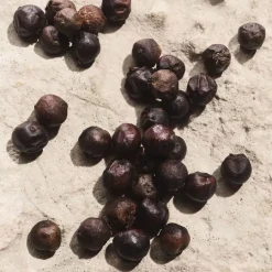 Dolceu0026Gabbana Light Blue pour homme Eau de Parfum Spray Capri in Love von Dolce&Gabbana