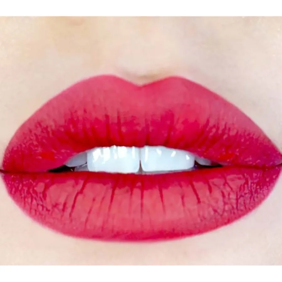 KEVYN AUCOIN Lippenstift Velvet Lip Paint von