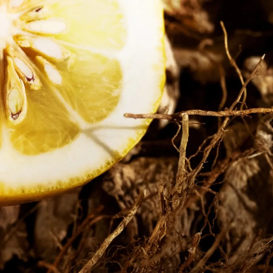 Yves Saint Laurent L'Homme Eau de Toilette Spray von