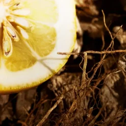 Yves Saint Laurent L'Homme Eau de Toilette Spray von