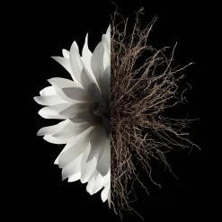 GIVENCHY L'INTERDIT The Deodorant von